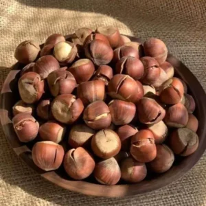 Premium Hazelnuts With Shell in Pakistan – Fresh, Crunchy & Natural | Nuts Kingdom