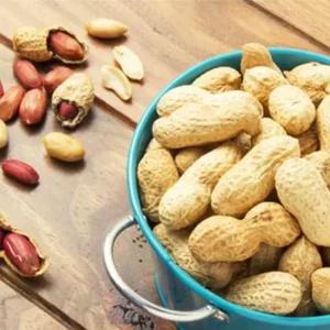 Premium Parachinar Peanuts in Pakistan – Fresh & Crunchy Mungphali | Nuts Kingdom