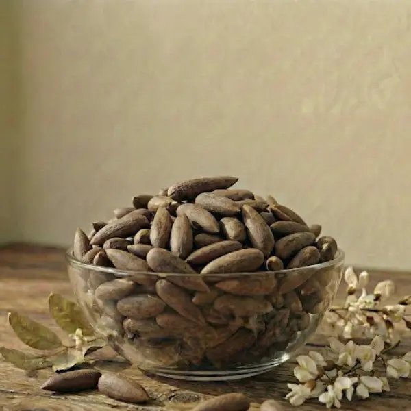 Pine Nuts Premium Chilgoza in Pakistan | Nuts Kingdom
