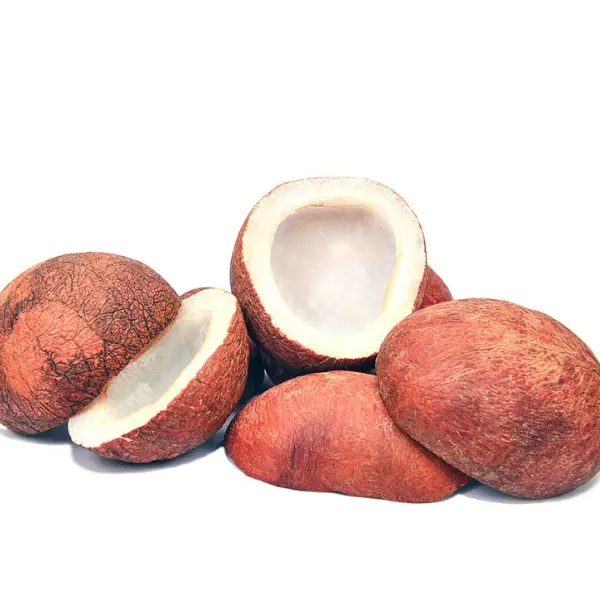 Premium Sabut Khopra in Pakistan – Whole Dry Coconut (Nariyal) | Nuts Kingdom