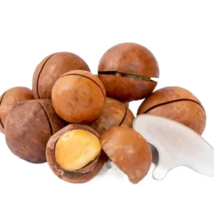 Premium Macadamia Nuts in Pakistan – Fresh, Crunchy & Healthy | Nuts Kingdom